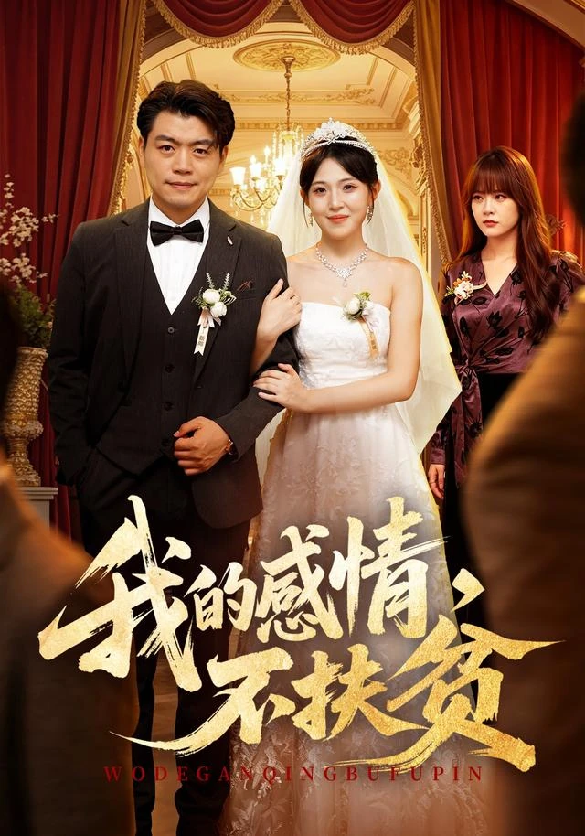 《我的感情，不扶贫》短剧海报